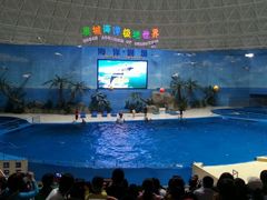android_upload_pic-泉城欧乐堡海洋极地世界
