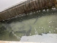 -何适山庄·团餐住宿(水长城P2停车场店)