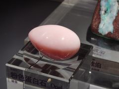 -中国地质博物馆