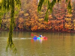 -上海海湾国家森林公园