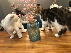 -小时光咖啡馆(北锣鼓巷店)