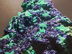 -甘肃地质博物馆