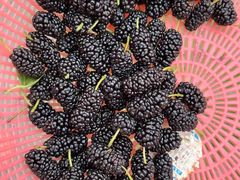 -宜昌富力皇冠假日酒店·咖啡1号西餐厅