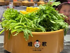 -龍歌自助小火锅(市北台东利群店)