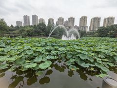 -龙头寺公园