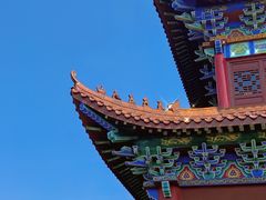 -长沙黑麋峰国家森林公园