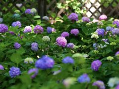 -常州古运河南大街文化旅游区-人民公园