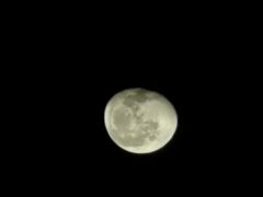 -COHIBA(水湾路店)