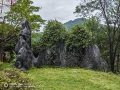 -玉石林风景区