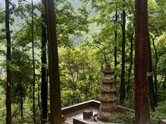 -黔灵山公园
