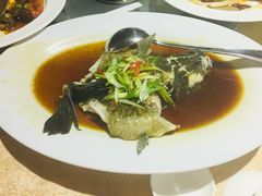 清蒸石斑-无招牌海鲜餐厅(滨海艺术中心店)