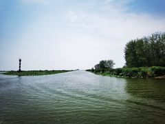 -滕州微山湖红荷湿地景区