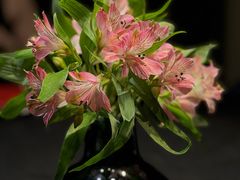 -江南雅厨(李公堤店)