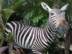 -中国天府农业博览园