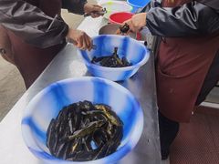 -彭大姐老店黄辣丁(新津店)