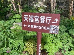 -白草畔自然风景区