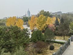 -北京云瑧金陵莲花酒店·莲·川小馆