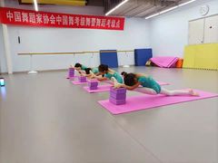 -舞蕾舞蹈·专注中国舞18年(天通苑中心校区)