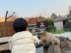 -郑州银基黄帝宫御温泉