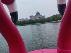 -莲花池公园