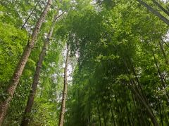 -九龙潭景区