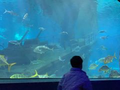 -福州罗源湾海洋世界旅游区