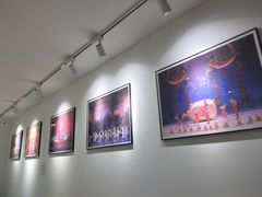 -中央芭蕾舞团·中芭艺蕾(酒仙桥明星校区)