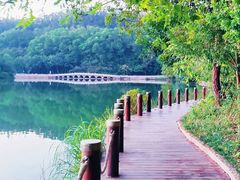 -深圳仙湖植物园
