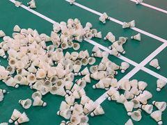 -上海博宽羽毛球馆(双桥路分部)