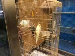 -潇湘·永州会馆(百子湾店)