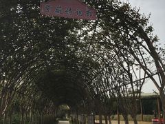 -武汉紫薇都市田园