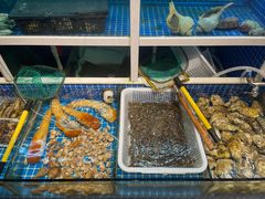 水产区-金龙·打边炉(南京西路店)