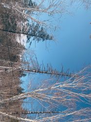 -大秃顶子山
