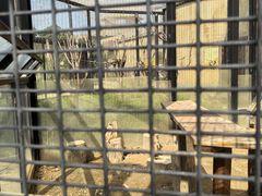 -祥源·阜阳生态乐园