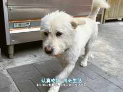 -半山•草庐玖厨(机场路店)