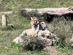 -沈阳森林动物园