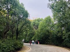 -上海海湾国家森林公园