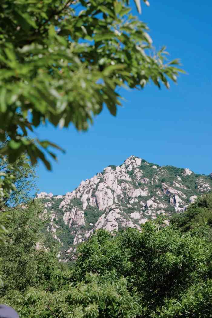 鳞龙山自然风景区-"小红书上看到别人分享的这个废弃的公园,在.
