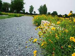 -汉长安城未央宫国家考古遗址公园