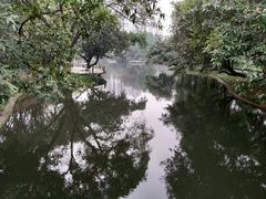 -晓港公园