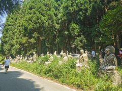 -武陵山森林公园