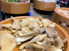 -龍歌自助小火锅(李沧丽达店)