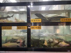 -融泽漁悦三只耳鱼火锅(南郑大道店)