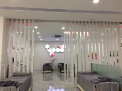 -莱可美科技美肤