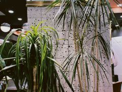 -海马体照相馆|大师(北京华贸中心店)