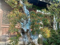 -惠山古镇·寄畅园