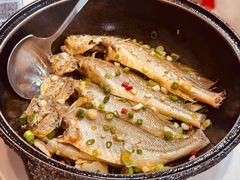 -阳江餐厅·26年老字号·粤菜海鲜大排档