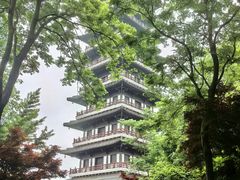 -宜兴龙背山森林公园