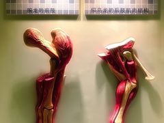 -世界恐龙谷景区
