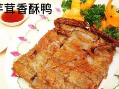 芋头香酥鸭-金龙寨(龙城路店)